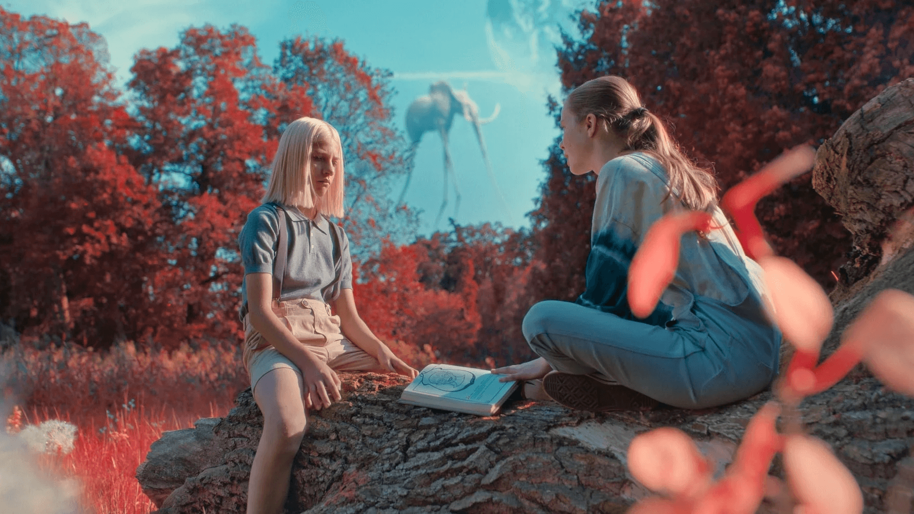 Rozczarowujący start „Kleksa i wynalazku Filipa Golarza” w polskich kinach | Raport Box Office